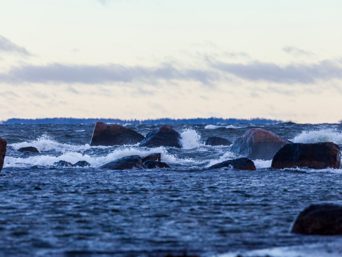 Momentum x John Nurminen&nbsp;Foundation